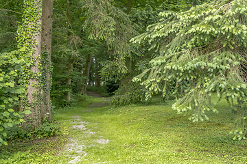 Image showing idyllic park scenery