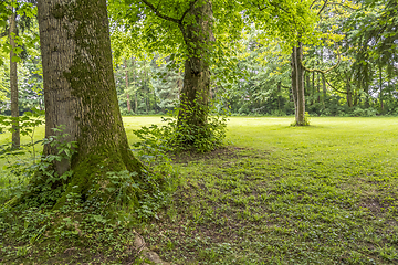 Image showing idyllic park scenery