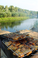 Image showing barbecue from chicken 's meat cooked in the nature