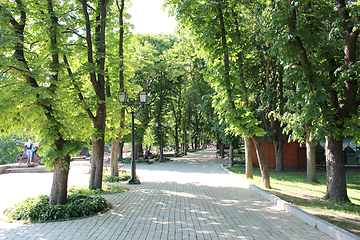 Image showing city park with path and green trees
