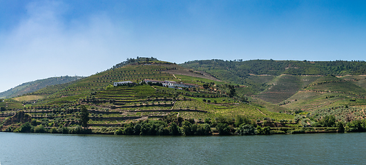 Image showing Point of view shot of terraced vineyards in Douro Valley