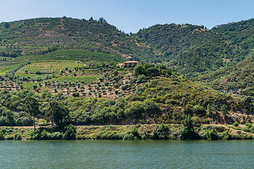 Image showing View of Douro Valley, Portugal. 