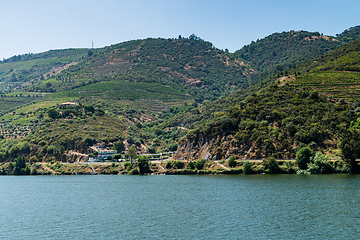 Image showing View of Douro Valley, Portugal. 