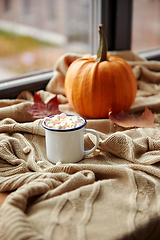 Image showing camp mug of marshmallow and pumpkin on window sill