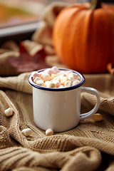 Image showing camp mug of marshmallow and pumpkin on window sill