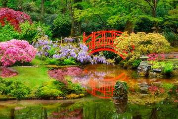 Image showing Japanese garden, Park Clingendael, The Hague, Netherlands