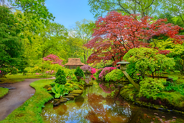 Image showing Japanese garden, Park Clingendael, The Hague, Netherlands