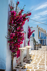 Image showing Picturesque Naousa town street on Paros island, Greece