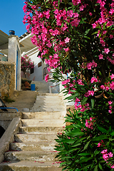 Image showing Greek street with bougainvillea flowers