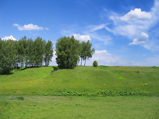 Image showing Beautiful summer landscape 