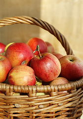 Image showing Bright tasty ripe apples in a basket