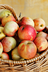 Image showing Bright ripe apples in a basket