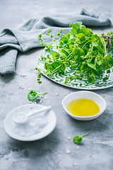 Image showing Winter purslane, Indian lettuce, with olive oil and salt. Claytonia perfoliata