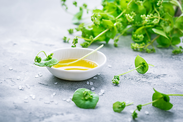 Image showing Winter purslane, Indian lettuce, with olive oil and salt. Claytonia perfoliata