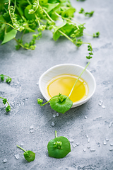 Image showing Winter purslane, Indian lettuce, with olive oil and salt. Clayto