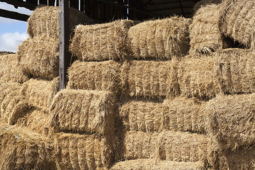 Image showing square stacks of straw