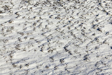 Image showing Snow after snowfall