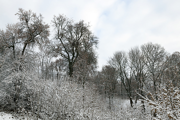 Image showing Snow drifts in winter