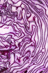 Image showing half-cut violet cabbage