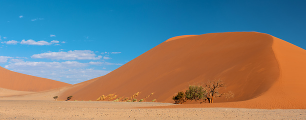 Image showing Dune 45 in Sossusvlei, Namibia desert