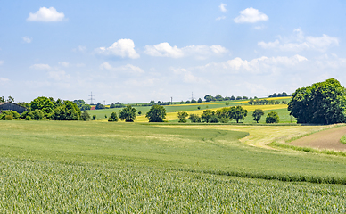 Image showing rural scenery in Hohenlohe