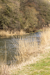 Image showing riparian scenery at Jagst river