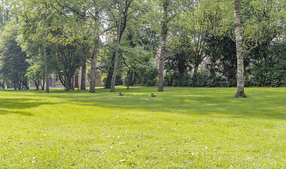 Image showing idyllic park scenery