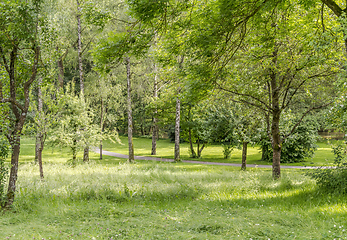 Image showing idyllic park scenery