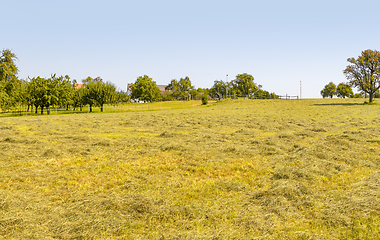 Image showing rural scenery in Hohenlohe