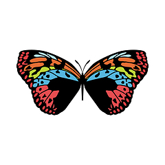 Image showing Butterfly Icon