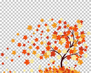 Image showing Falling maple leaves