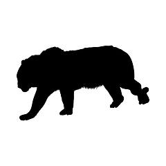 Image showing Tiger Silhouette