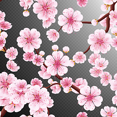 Image showing Seamless of pink Sakura. EPS 10