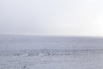 Image showing Snow drifts in winter