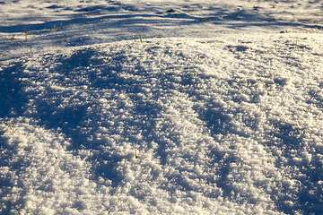 Image showing After snowfall