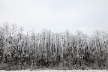 Image showing Snow drifts in winter