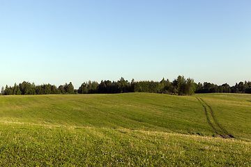 Image showing forest and road