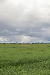 Image showing agricultural field