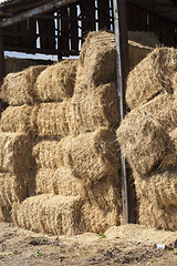 Image showing pressed square bales