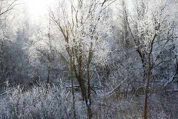 Image showing winter landscape