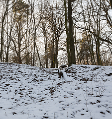 Image showing Snow drifts in winter