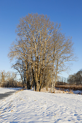 Image showing Snow drifts in winter