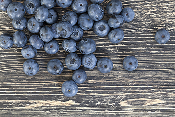 Image showing large ripe blueberries