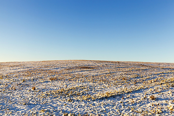 Image showing Winter time of the year