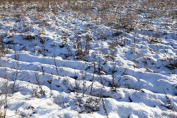 Image showing After snowfall ,