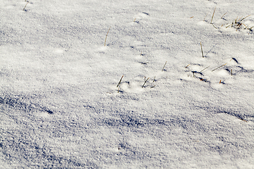 Image showing Snow drifts in winter