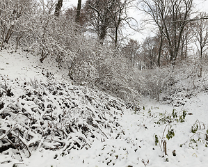 Image showing Winter park with snow