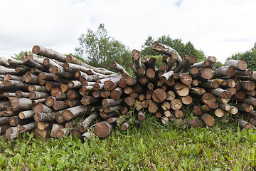 Image showing old wooden logs