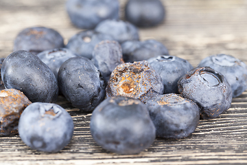 Image showing mold and fungus blueberries