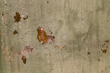 Image showing metal rusty surface